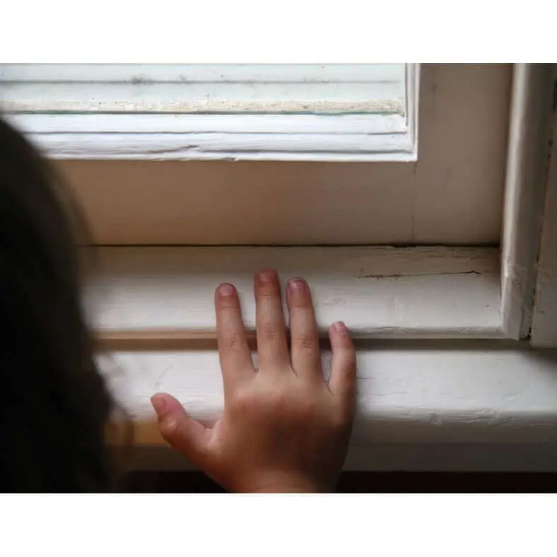 Lead in Paint, Dust or Soil - Extra Sample(s)